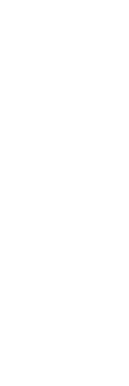 こだわりの料理